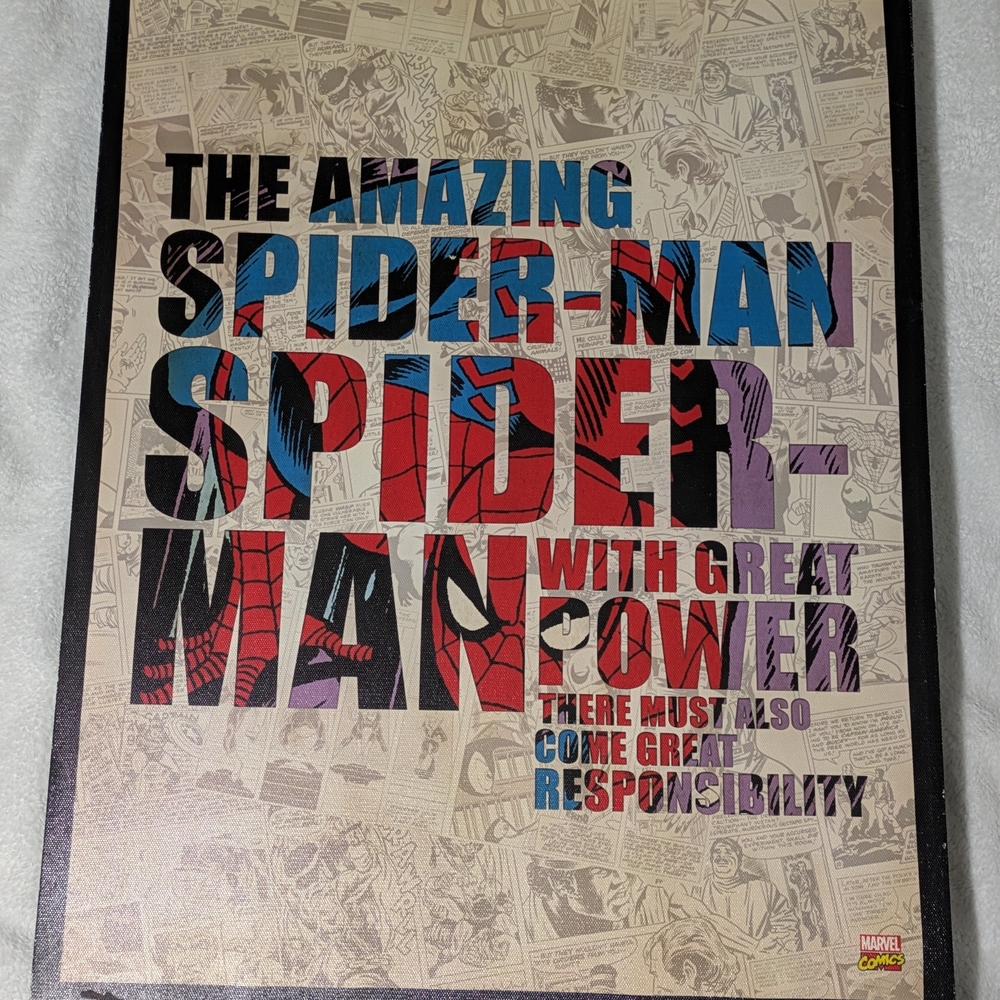 The Amazing Spider-Man Canva Wall Art